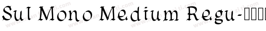 Sul Mono Medium Regu字体转换